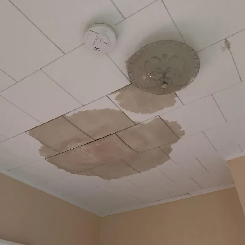 Ceiling Water Damage Repair in Suffolk, VA