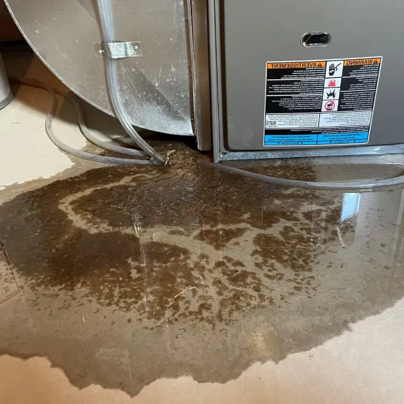 Pipe Burst and Leak Restoration in Suffolk, VA