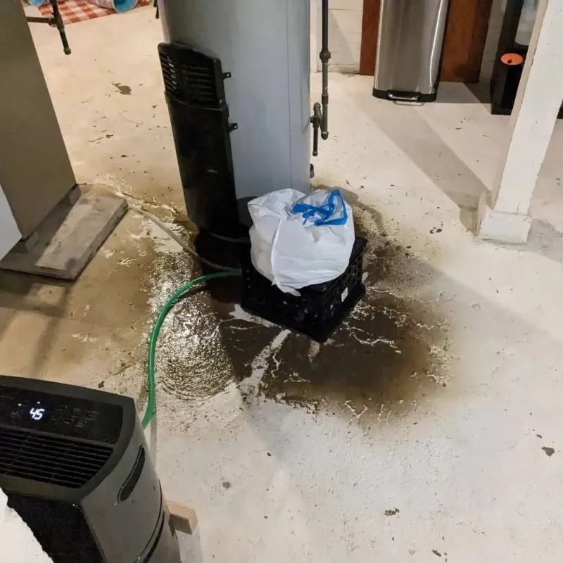 Sewage Backup Cleanup Service in Suffolk, VA